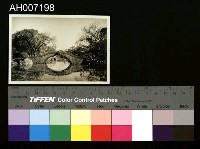 藏品(臺北新公園與台博館黑白相片)的圖片